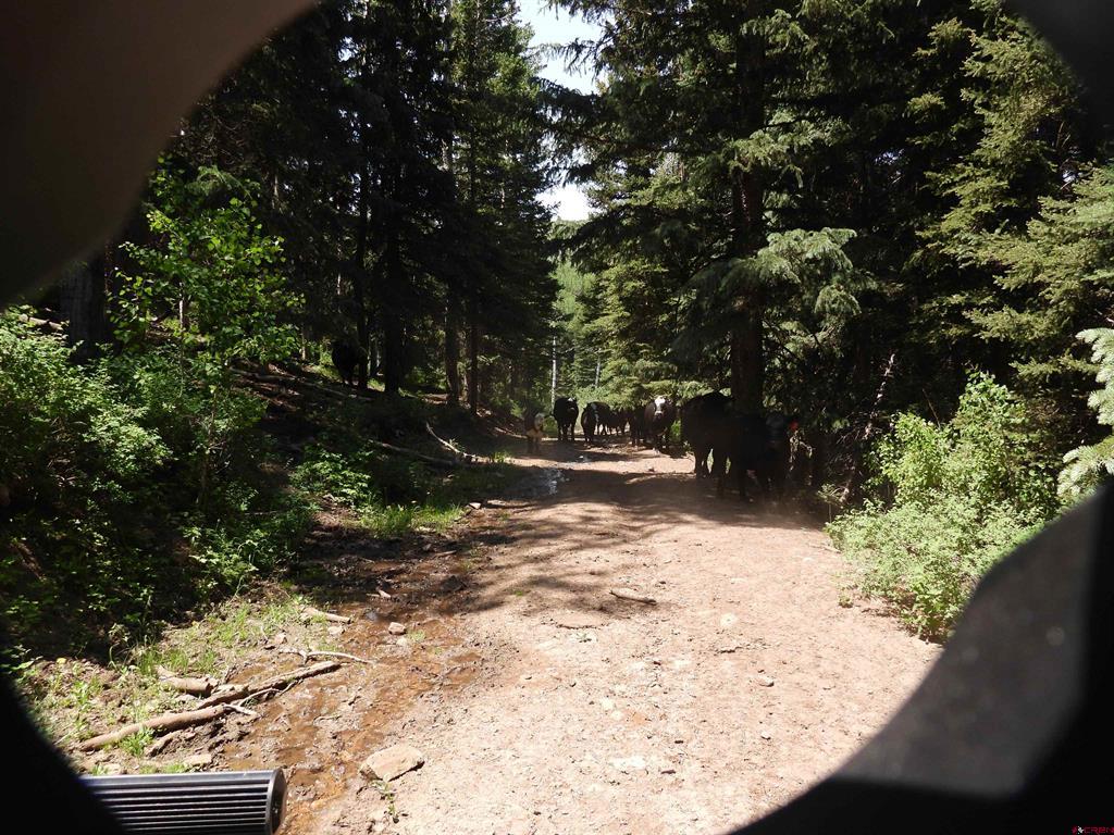 Tbd Transfer Road Montrose CO 81403