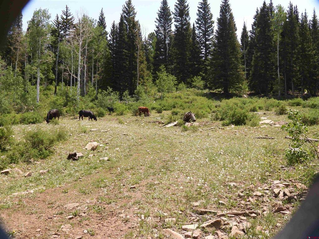 Tbd Transfer Road Montrose CO 81403