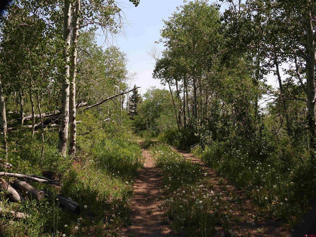 Tbd Transfer Road Montrose CO 81403