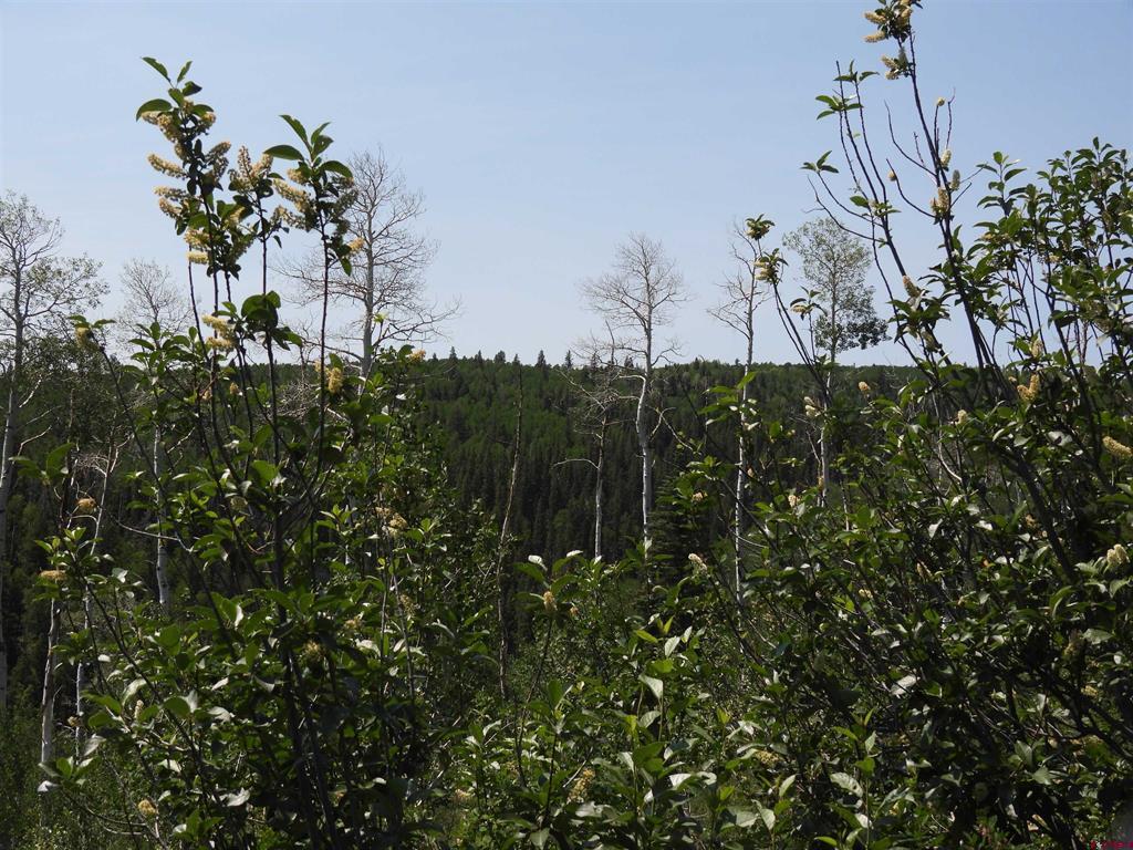 Tbd Transfer Road Montrose CO 81403