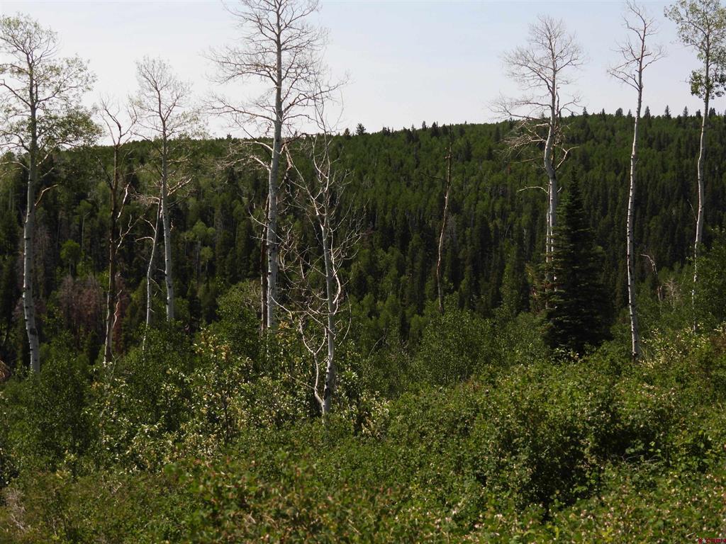 Tbd Transfer Road Montrose CO 81403