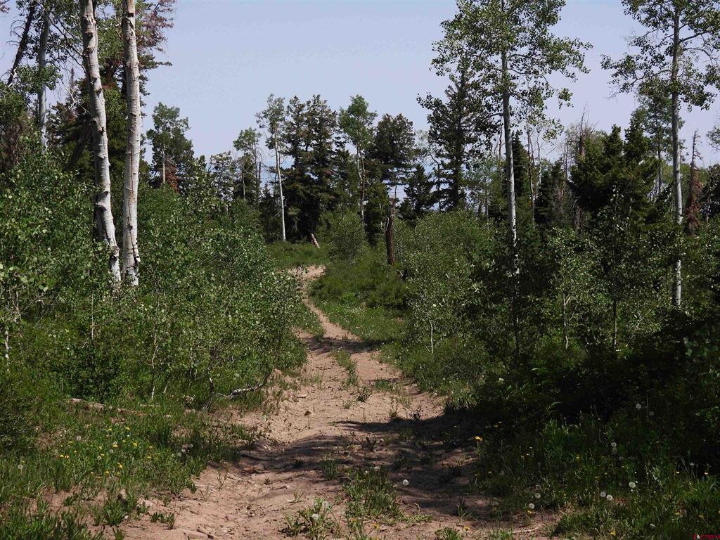 Tbd Transfer Road Montrose CO 81403