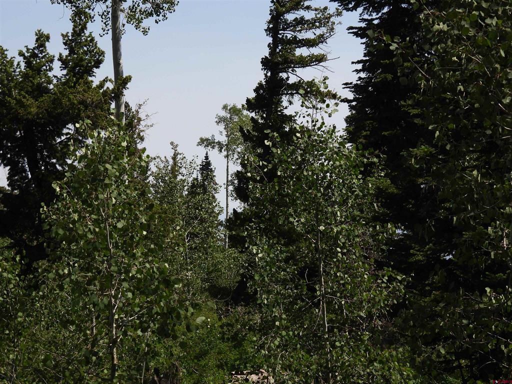 Tbd Transfer Road Montrose CO 81403