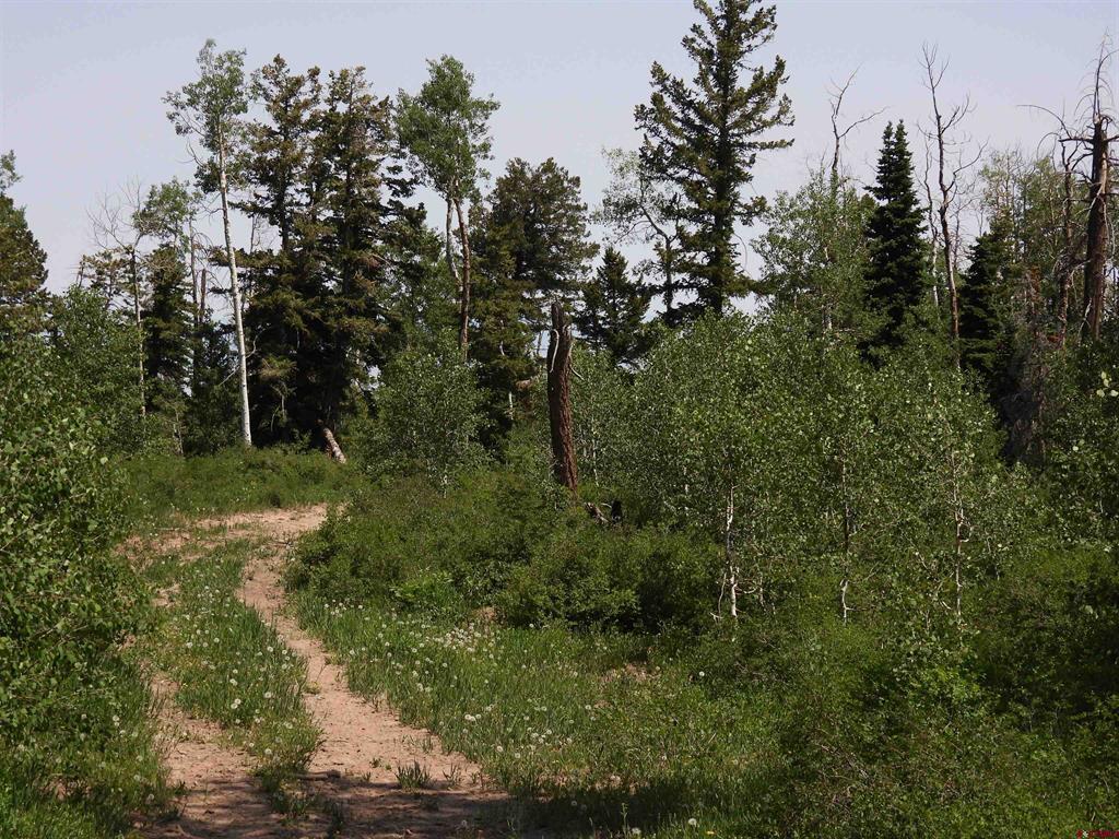 Tbd Transfer Road Montrose CO 81403