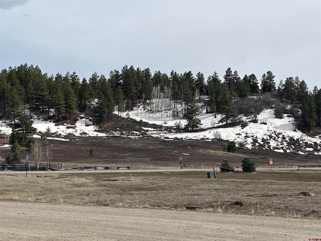 61 Hills Circle Pagosa Springs CO 81147