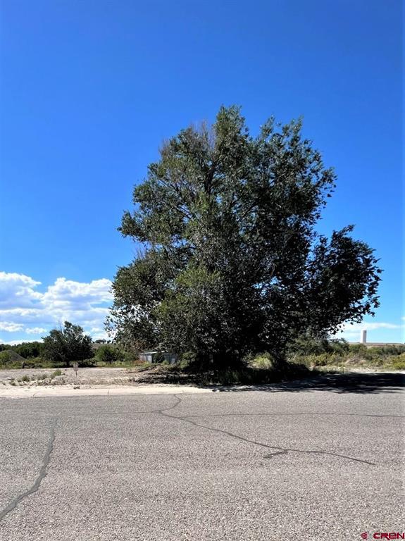 Tbd Lot 7 Hawk Parkway Montrose CO 81401