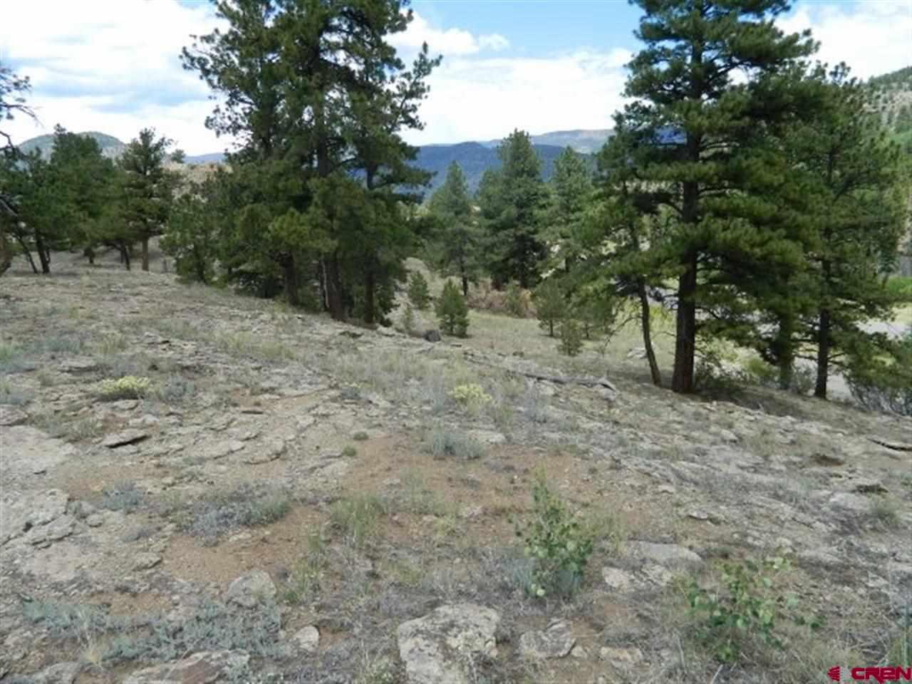 0534 Church Creek Drive South Fork CO 81154