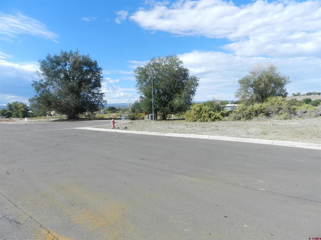 Tbd Lots 7 & 8 Hawk Parkway Montrose CO 81401
