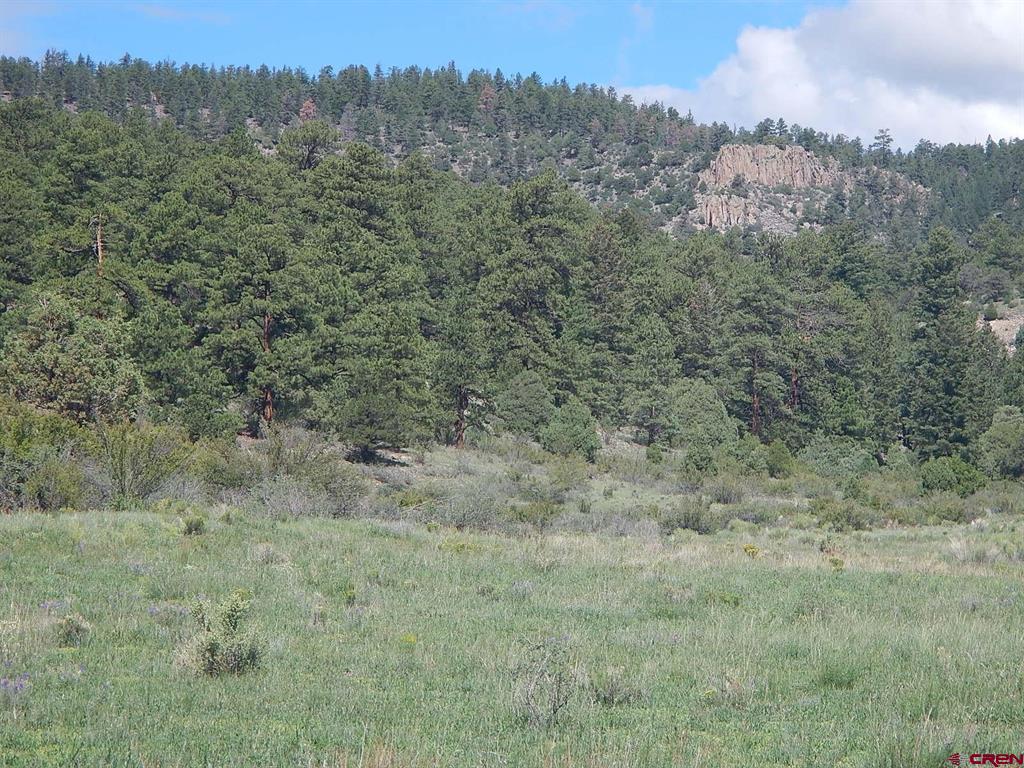 727 Bear Creek Circle South Fork CO 81154