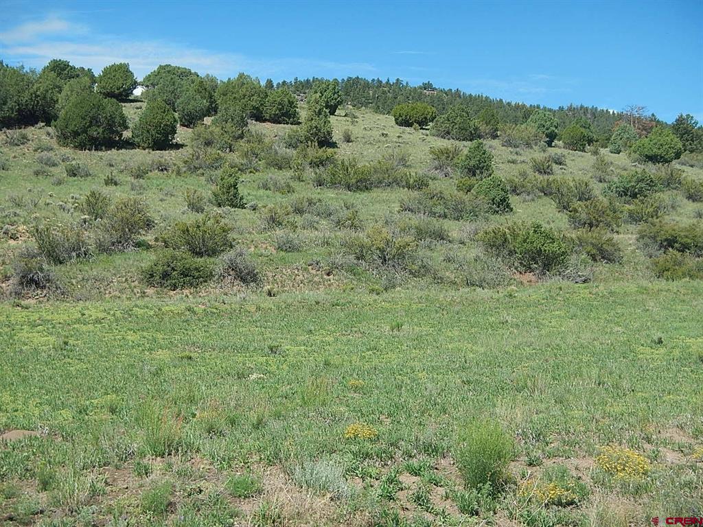 727 Bear Creek Circle South Fork CO 81154