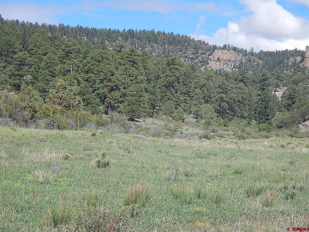 727 Bear Creek Circle South Fork CO 81154