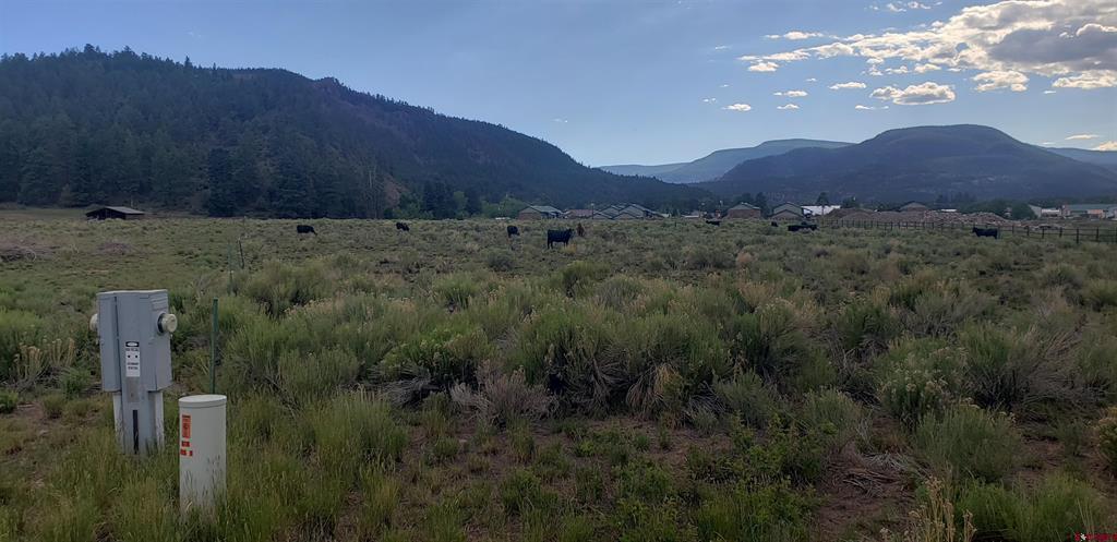 173 Willow Park Drive South Fork CO 81154