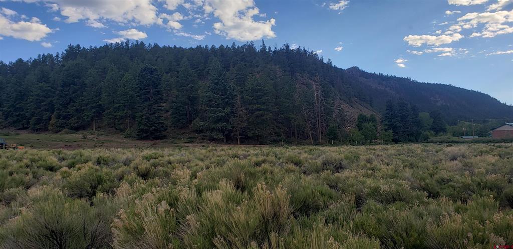 173 Willow Park Drive South Fork CO 81154