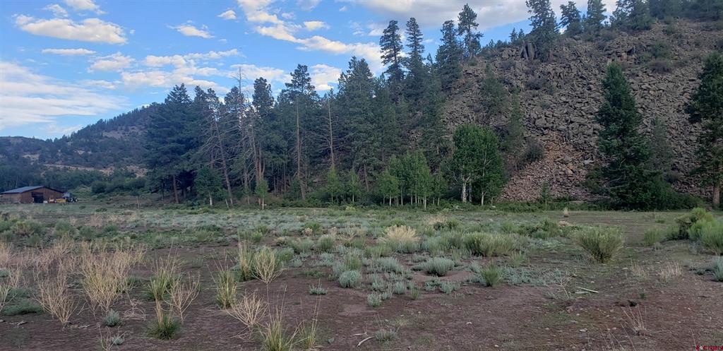 173 Willow Park Drive South Fork CO 81154