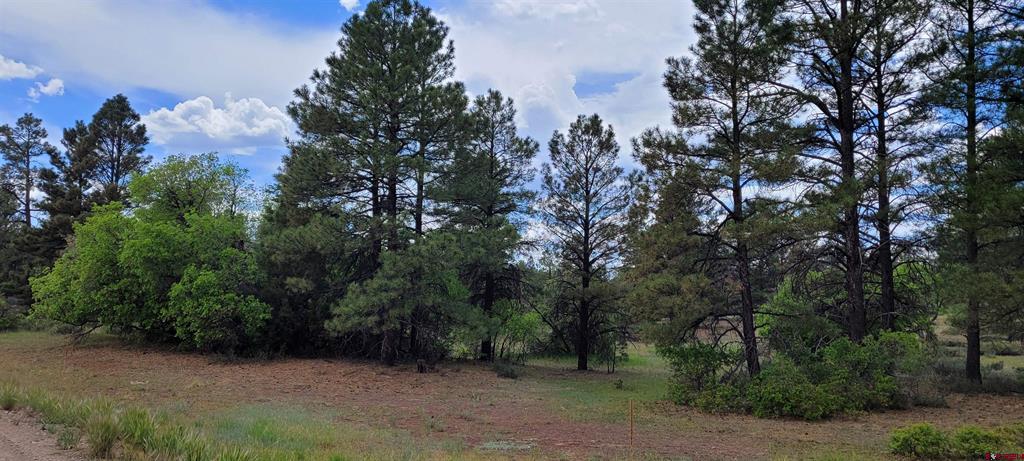 30 High Drive Pagosa Springs CO 81147