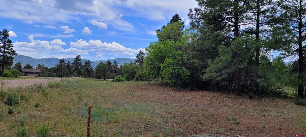 30 High Drive Pagosa Springs CO 81147