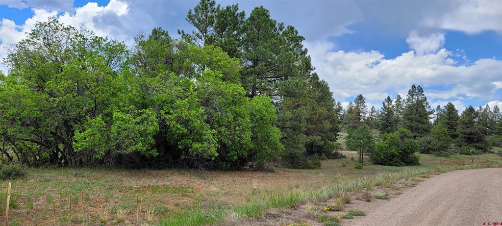 30 High Drive Pagosa Springs CO 81147