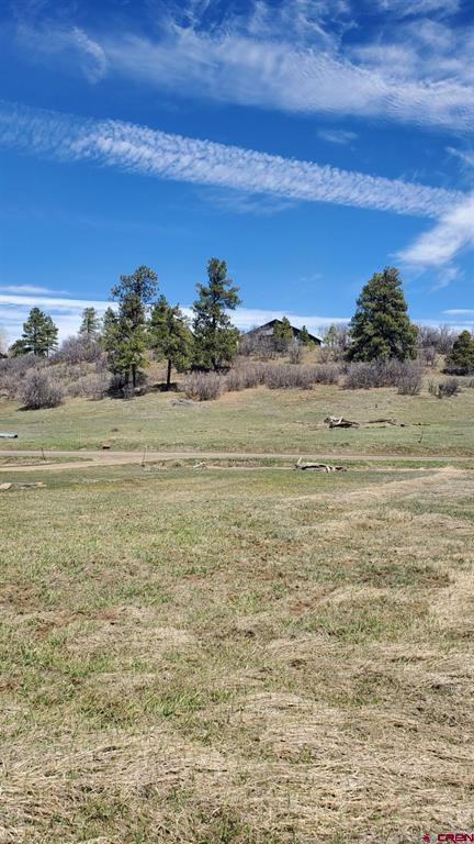 1335 Hills Circle Pagosa Springs CO 81147