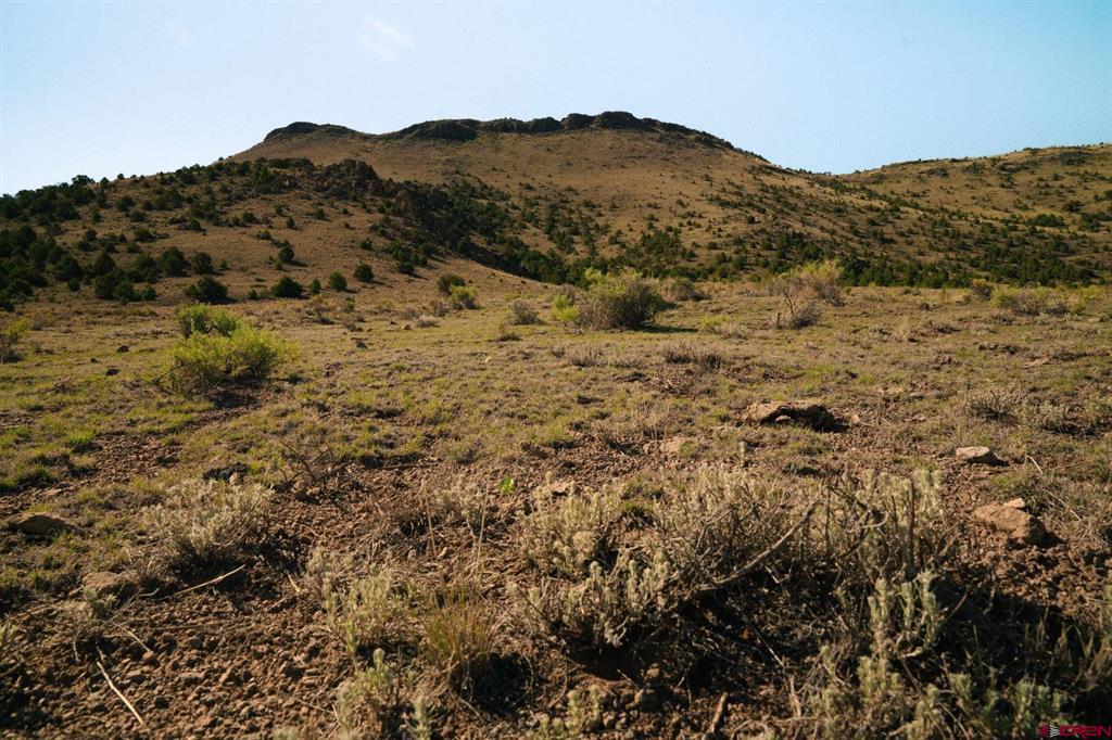 Tract 42 Wapiti Ridge Road Del Norte CO 81132