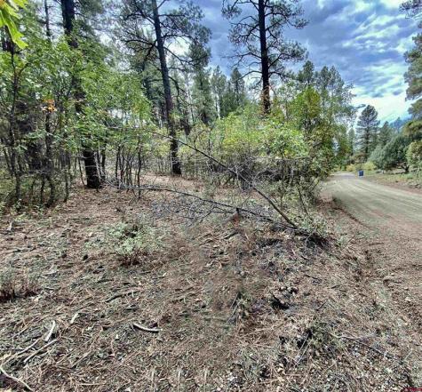 357 Jack Rabbit Pagosa Springs CO 81147