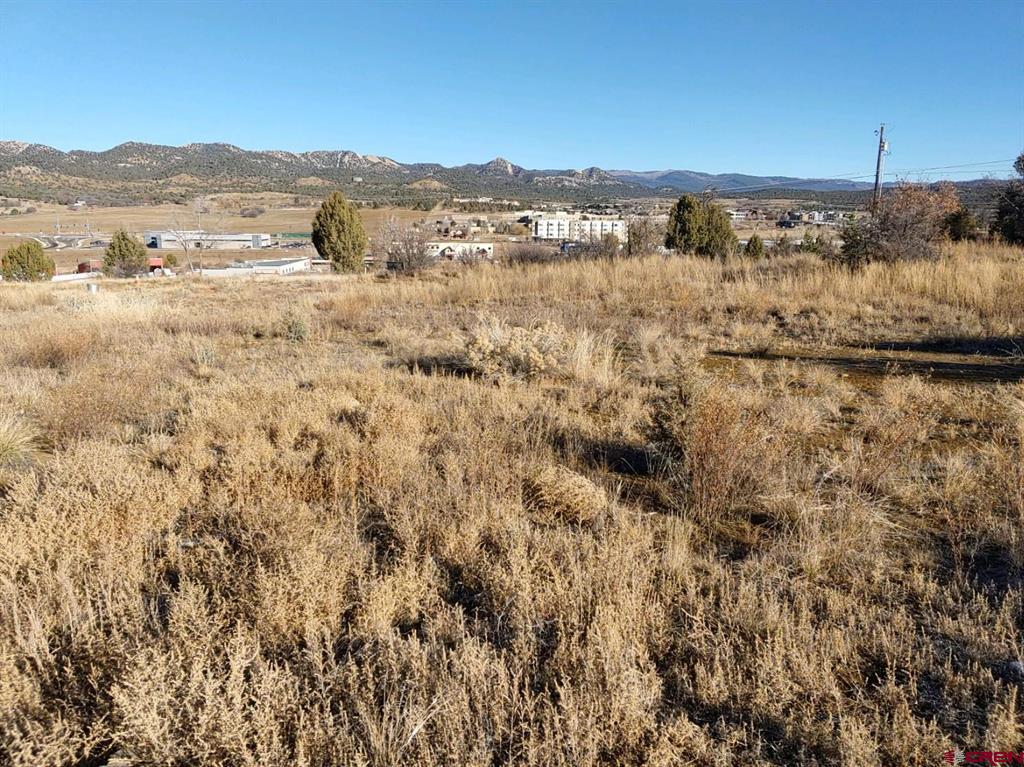 111 Cr 232 Durango CO 81303