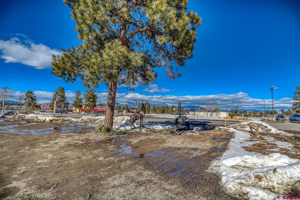 19 Navajo Trail Drive Pagosa Springs CO 81147