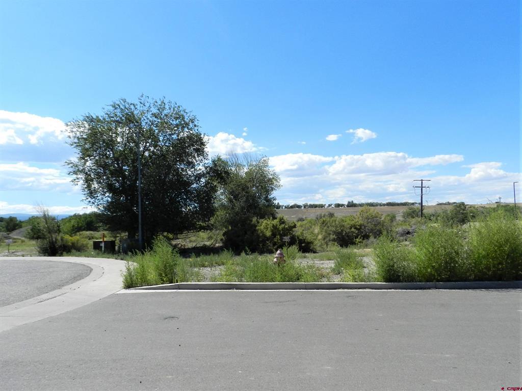 Tbd Lot 8 Hawk Parkway Montrose CO 81401