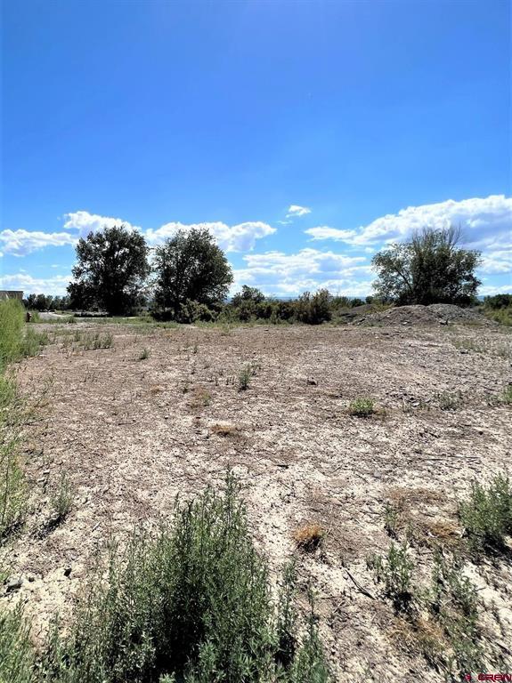 Tbd Lot 8 Hawk Parkway Montrose CO 81401